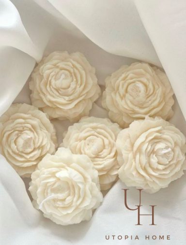 peony flowers